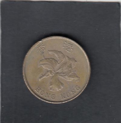 Beschrijving: 5 Dollar flower